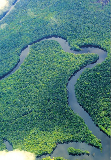 Náhled Amazonie a řeky příběhů