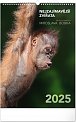 Kalendář 2025 nástěnný: Nejzajímavější zvířata, 33 × 46 cm
