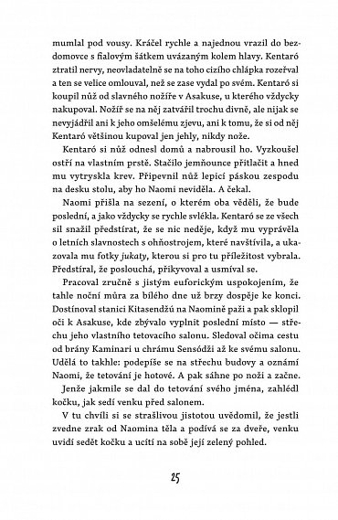 Náhled Kočka a město