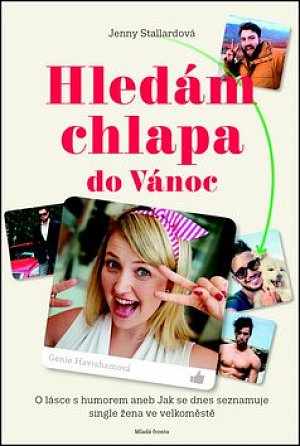 Hledám chlapa do vánoc