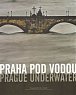 Praha pod vodou/Prague underwater - Drama pětisetleté vody ve fotografii/Drama of the Five Hundred Year Flood in Photographs