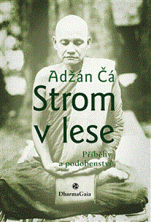 Strom v lese - Příběhy a podobenství