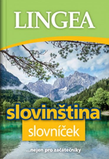 Náhled Slovinština slovníček ...nejen pro začátečníky