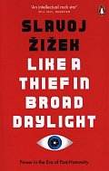 Like A Thief In Broad Daylight : Power in the Era of Post-Humanity