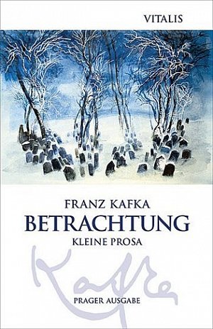 Betrachtung (N)