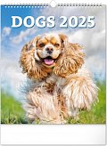Kalendář 2025 nástěnný: Psi, 30 × 34 cm