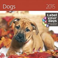 Kalendář nástěnný 2015 - Dogs
