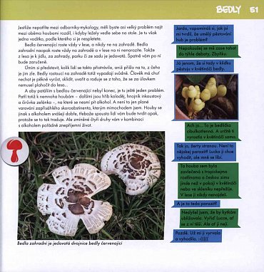 Náhled Na houby s Jardou - Nepostradatelný průvodce houbaře a kulináře