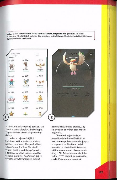 Náhled Pokémon GO. Neoficiální příručka