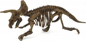 Archeologický set 3D Triceratops