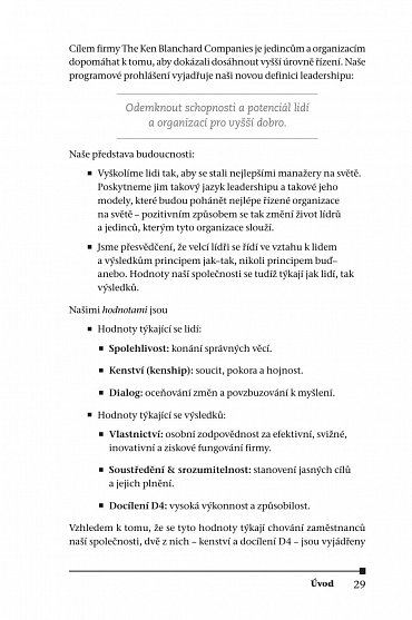 Náhled Vedení na vyšší úrovni