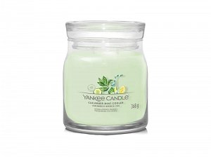 YANKEE CANDLE Cucumber Mint Cooler svíčka 368g / 2 knoty (Signature střední)