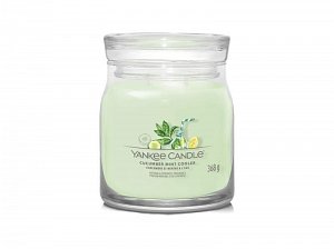 YANKEE CANDLE Cucumber Mint Cooler svíčka 368g / 2 knoty (Signature střední)