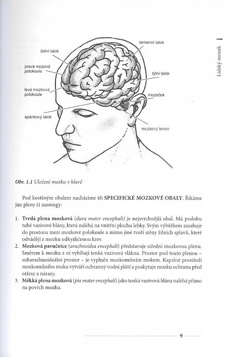 Náhled Vyšetření a výzkum mozku - Pro psychology, pedagogy a další nelékařské obory