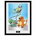 Pokémon Zarámovaný plakát - Kanto Starters
