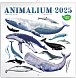 Kalendář 2025 poznámkový: Animalium, 30 × 30 cm