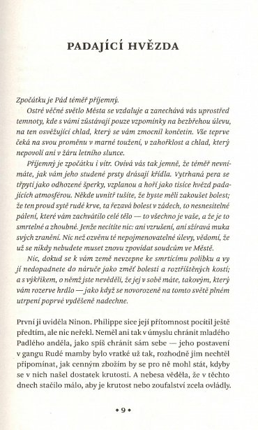 Náhled Řád zlomených křídel