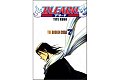 Bleach 7: The Broken Coda