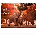 Kalendář nástěnný 2023 - Wildlife, Exclusive Edition
