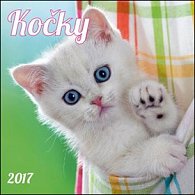 Kočky 2017 - nástěnný kalendář