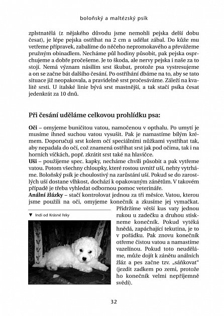 Náhled Boloňský a maltézský psík - 2. vydání