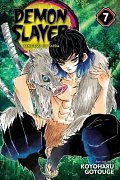 Demon Slayer: Kimetsu no Yaiba 7