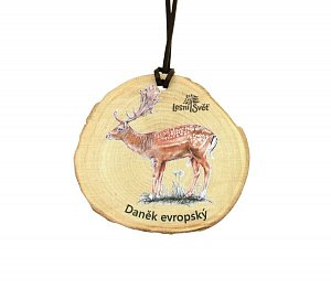 Dřevěná medaile letokruh - Daněk