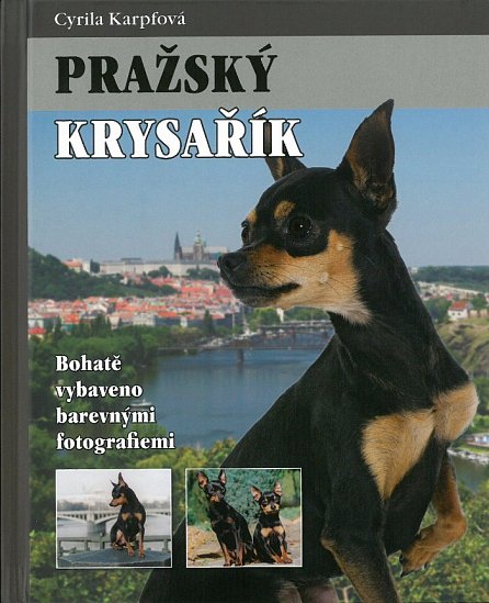 Náhled Pražský krysařík