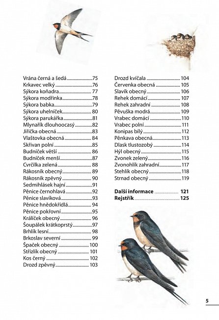 Náhled Ptáci - Rozpoznejte snadno 100 druhů