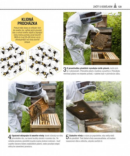 Náhled Velká kniha včelaření
