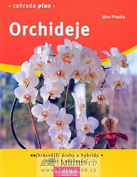 Orchideje - Zahrada plus