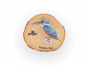 Magnet letokruh - Ledňáček