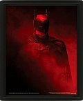 Obraz 3D Batman Vengence