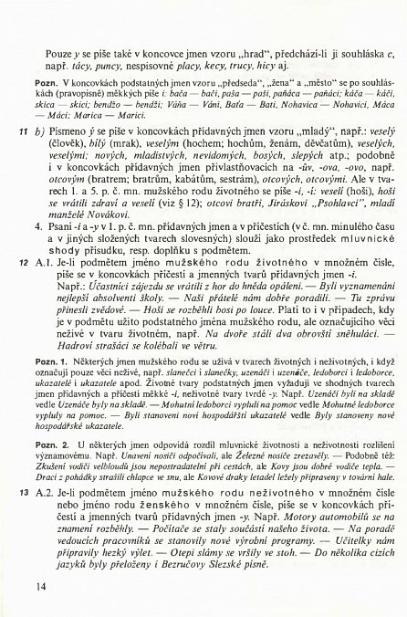 Náhled Pravidla českého pravopisu
