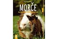 Morče - Roztomilý a vitální společník