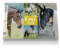 Koně - stolní kalendář