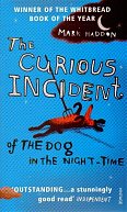 The Curious Incident of the Dog in the Night-time