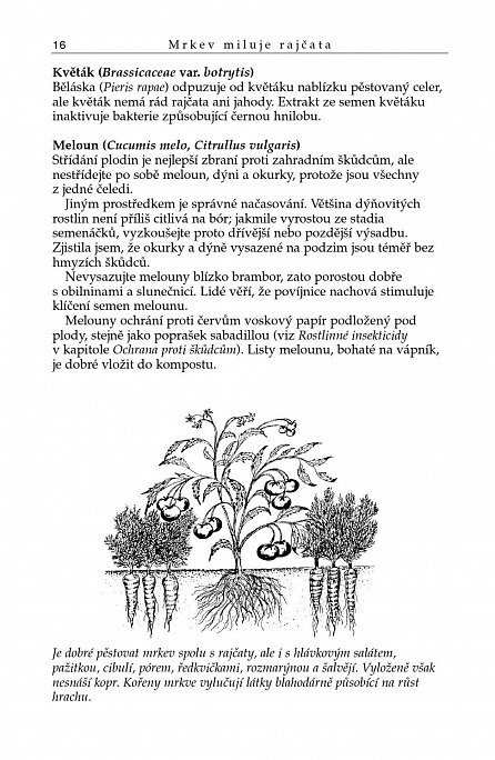 Náhled Mrkev miluje rajčata, 3.  vydání
