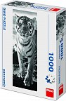 Puzzle Černo-bílý tygr 100 dílků panoramatické