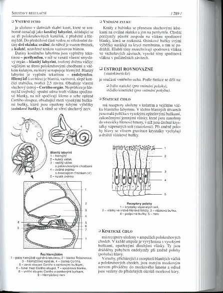 Náhled Biologie pro gymnázia - 10. vydání