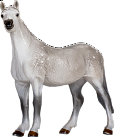 Kůň orlovský klusák figurka