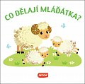 Co dělají mláďátka?