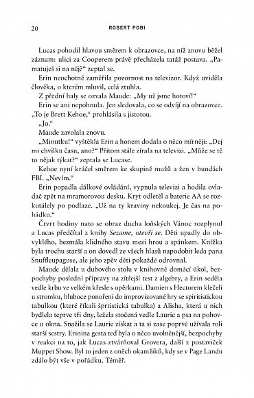 Náhled Město plné oken