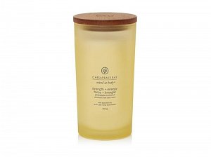 Vonná svíčka CHESAPEAKE BAY CANDLE Strength & Energy 355g