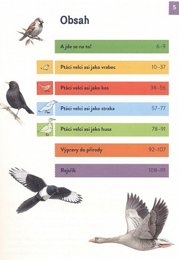 Náhled Ptáci - Poznej 85 zajímavých druhů