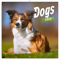 Kalendář 2022 poznámkový: Psi, 30 × 30 cm