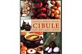 Cibule - Rady, krása, zdraví, recepty