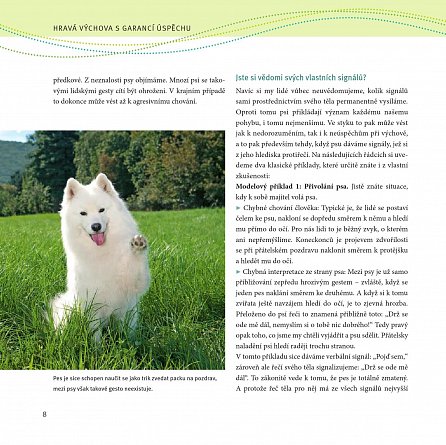 Náhled Výcvik psa na procházkách - Šestitýdenní tréninkový plán, 1.  vydání