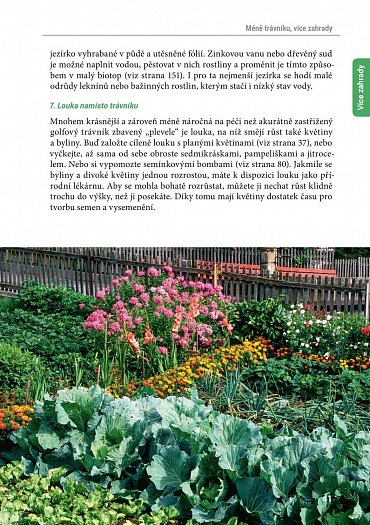 Náhled Zkuste to doma sami - Zahrada a balkon, 111 projektů a nápadů pro přírodní biozahradu