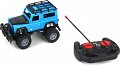 RC auto 1:24